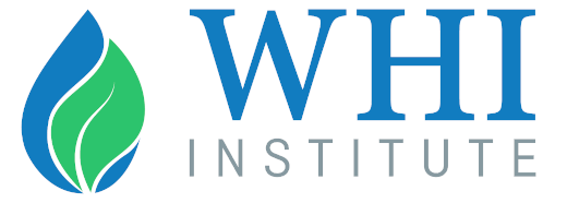 WHI-Institute, Salutogenesis School SL