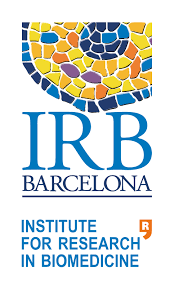Fundació Institut de Recerca Biomèdica (IRB Barcelona)